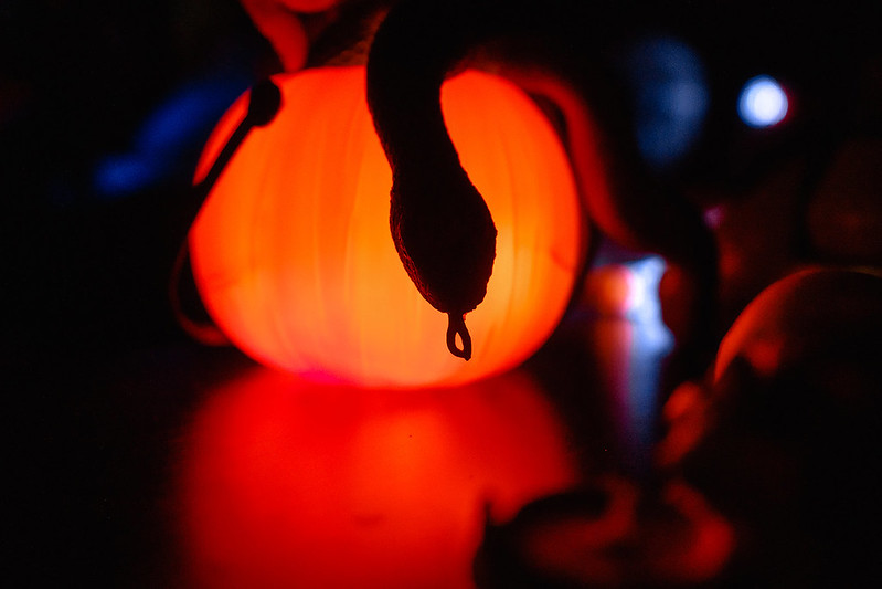 Украшение дома паутиной и летучими мышами к Хэллоуину в Миколаєві